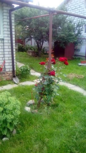 Hostal Nadezhda