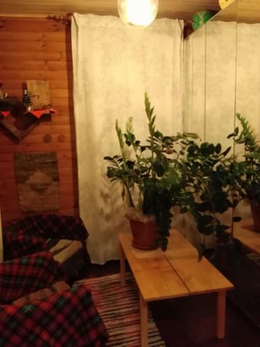 Hostal Guest House On Tsvetochnaya