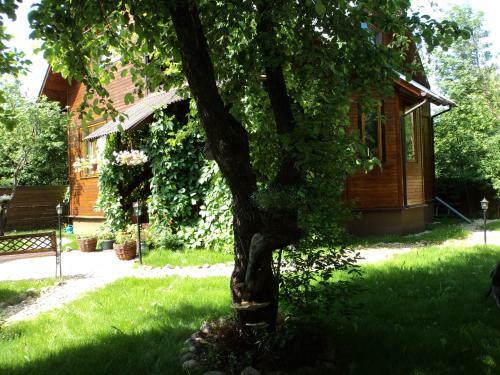 Hostal Guest House On Tsvetochnaya