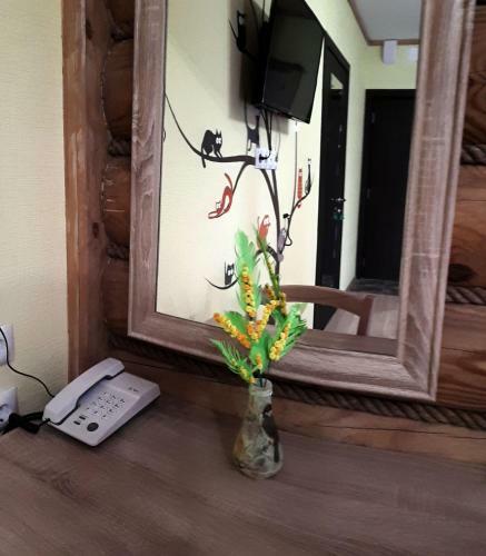 Hostal Guest House 12 Months