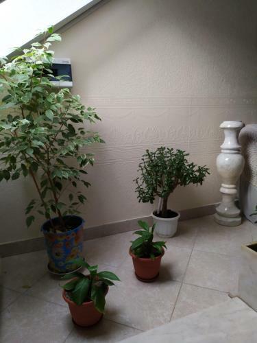 Hostal Traktir U Prokopa