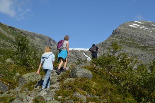 Stardalen Hyttegrend