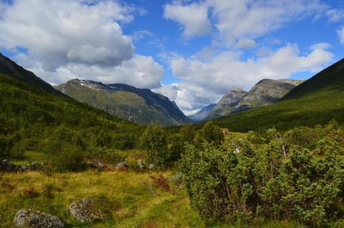 Stardalen Hyttegrend