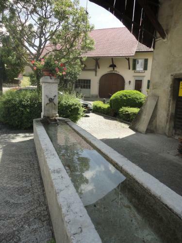 Hotel Gasthaus Hirschen