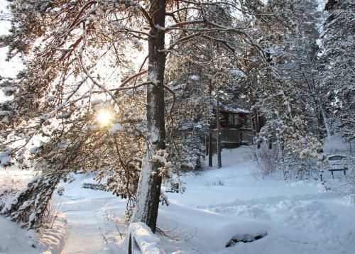 Park-hotel Dacha Wintera