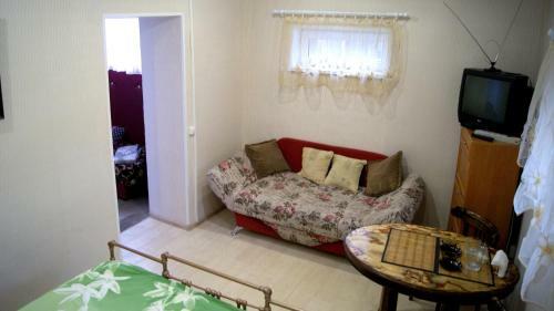 Hostel Vybor