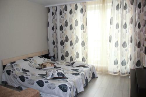 Apartamento ??????????? ????? 50 ??? ??????? 57?