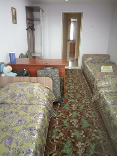 Vershiny Hostel