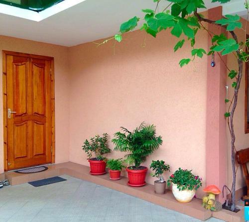 Hostal Guest House Alicante