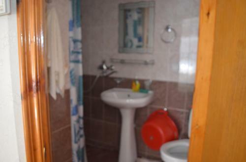 Hostal Guest House Kamielia