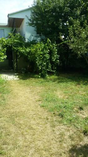 Hostal Rodnik Guest House