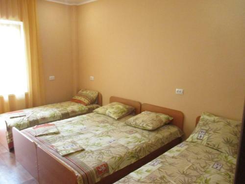 Hostal U Vladimira Guest House