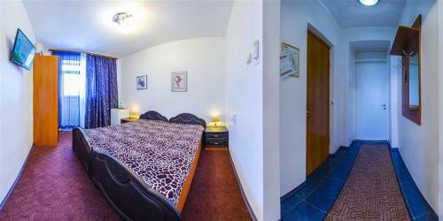 Hostal Guest House Alex