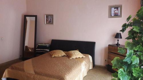 Posada Apartment On Svetlanskaya 7