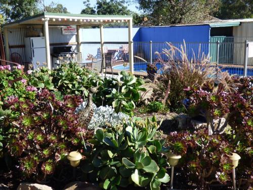 Glenrowan Kelly Country Motel