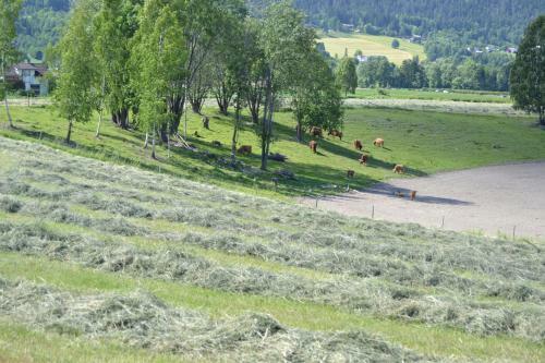 Hotel Renskaug Vertsg�rd