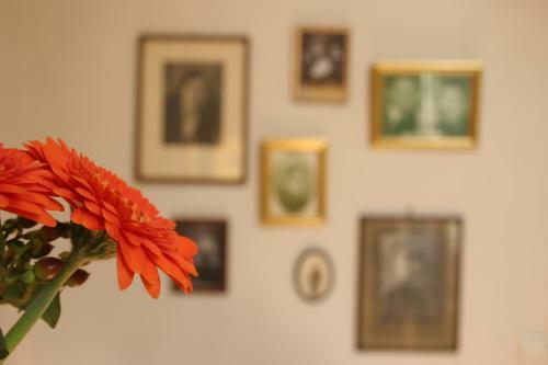 B&B Villa Acacia