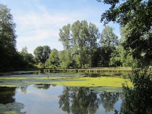 Les Peupliers De La Pecherie