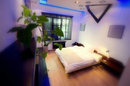 Hotel Wardenclyffe Volgo&balt