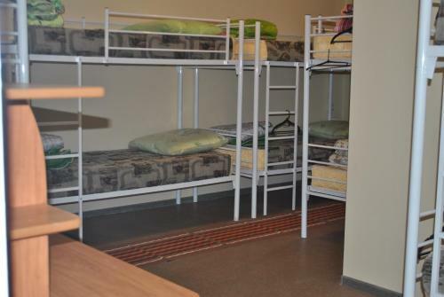 Viking Hostel
