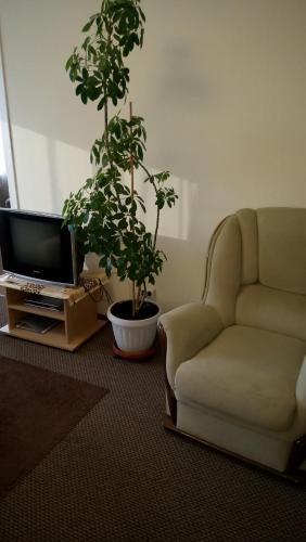 Apartment On Ispanskih Rabochih 35