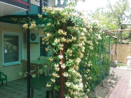 Hostal Rostovskaya 181