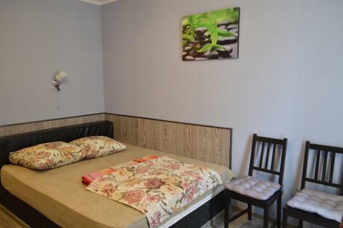 Hotel Arabica