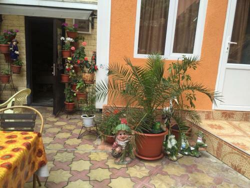 Hostal Azalia Guest House