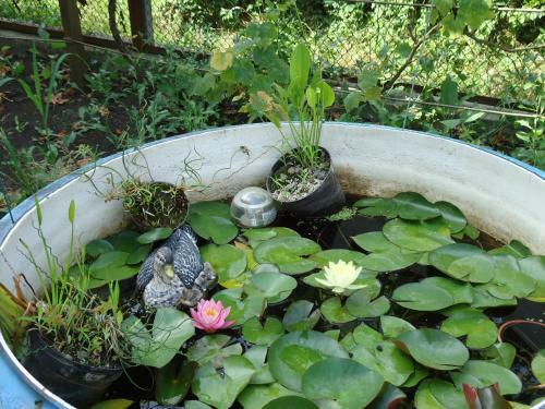 Hostal Villa Gardenia