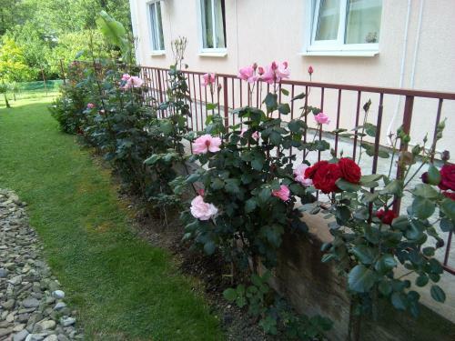 Hostal Yuzhanochka Guest House