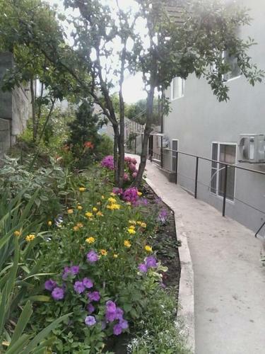 Hostal Volgar Guest House
