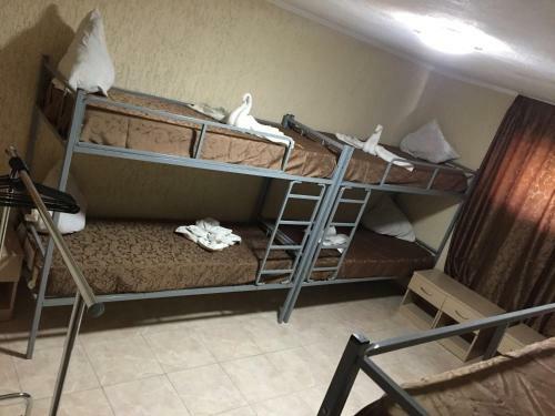 Cosy Hostel On Dekabristov 103b