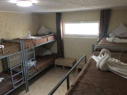 Cosy Hostel On Dekabristov 103b