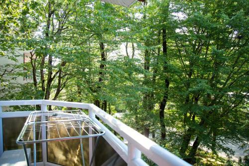 Hotel Sokol Pension