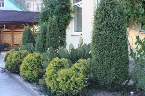 Hostal Guest House Almira