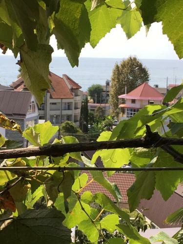 Hostal Prokhlada Guest House