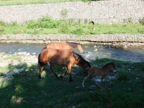 Hostal Beliy Dom