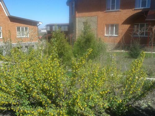 Hostal Holiday Home Clean Air