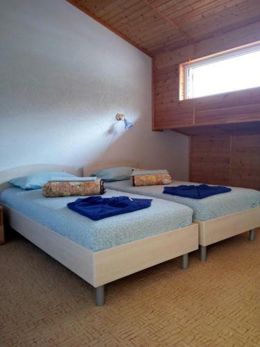 Hostal Guest House Shokolad