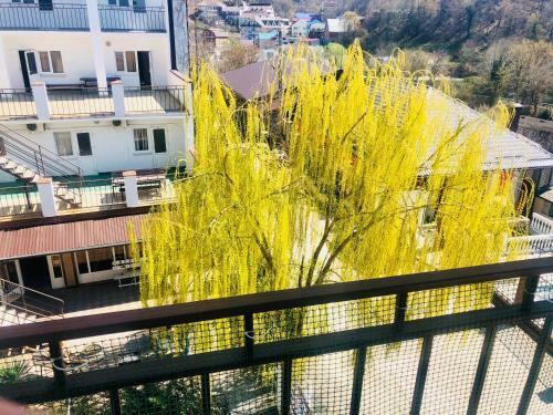 Esenin Hotel Resort & Spa
