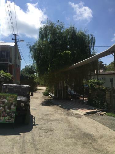 Hostal Guest House Alina