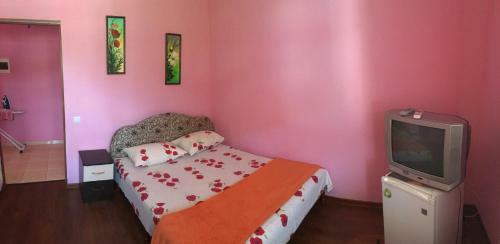 Hostal Guest House Alina