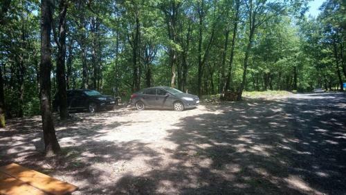 Camping Gorizont