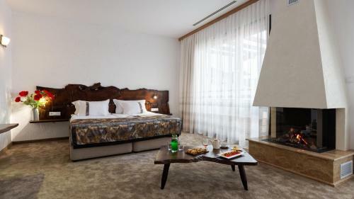 Hotel Starosel