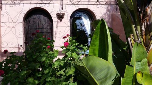 Bed & Breakfast Paradis Nomade