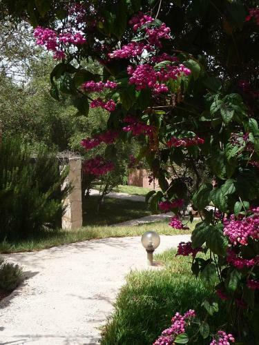 Bed & Breakfast Paradis Nomade