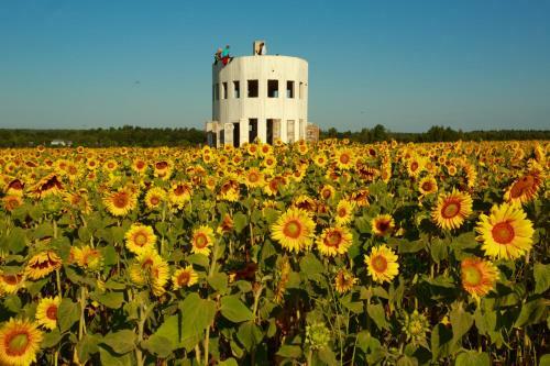 Farm-camping Nikola-lenivets