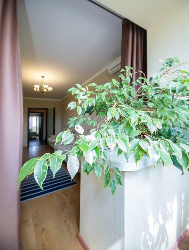 Apartment Ulitka