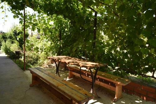 Hostal Pension Mini Wonderful Valley
