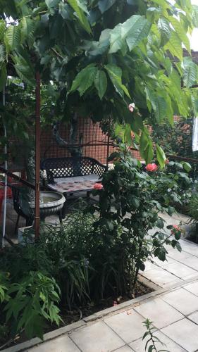 Hostal Guesthouse On Zelenaya 7
